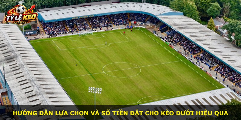 Hướng dẫn lựa chọn và số tiền đặt cho kèo dưới hiệu quả