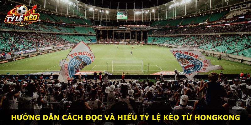 Hướng dẫn cách đọc và hiểu tỷ lệ kèo từ Hongkong